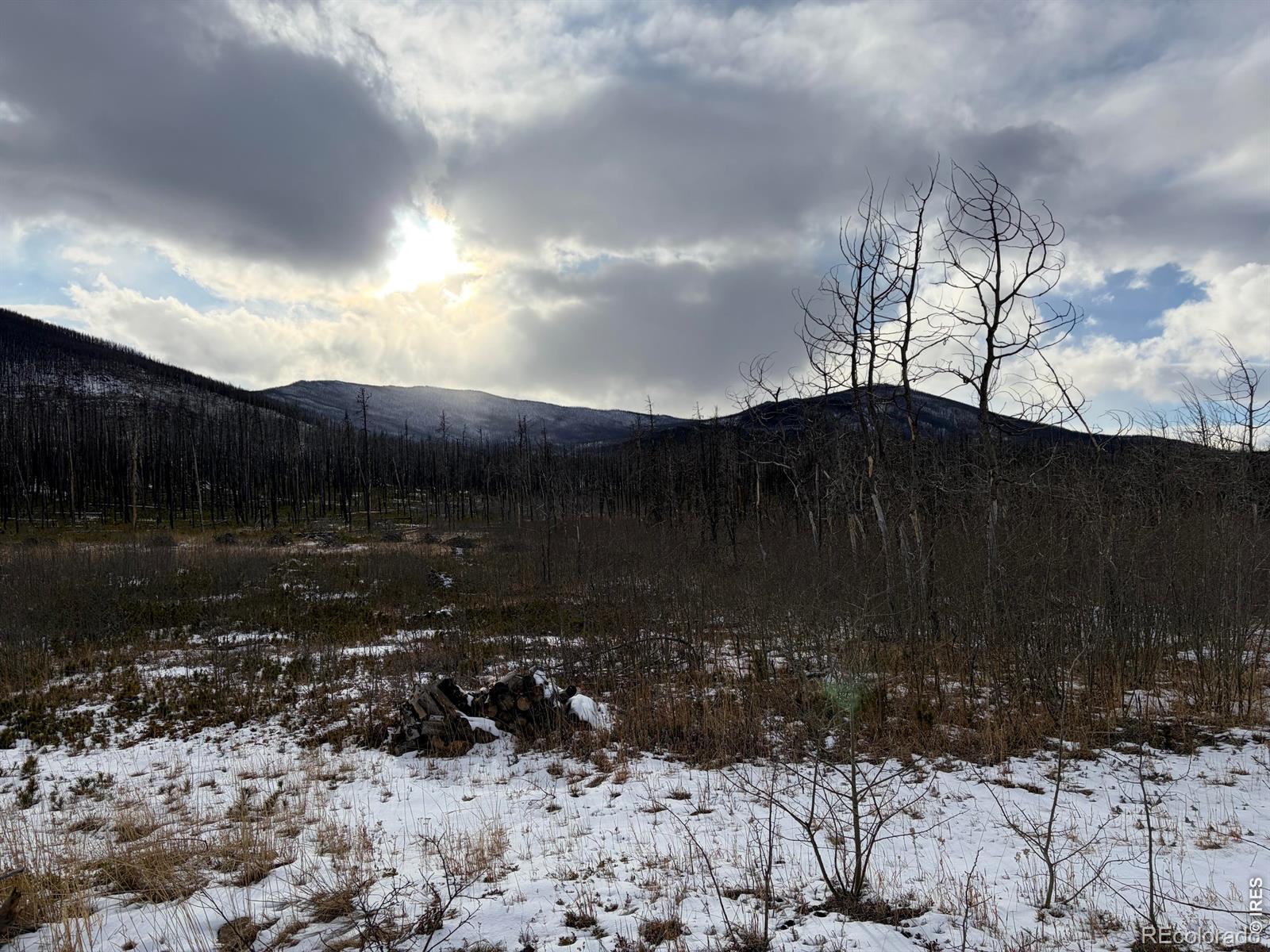 2025 Granite Road Bellvue CO 80512