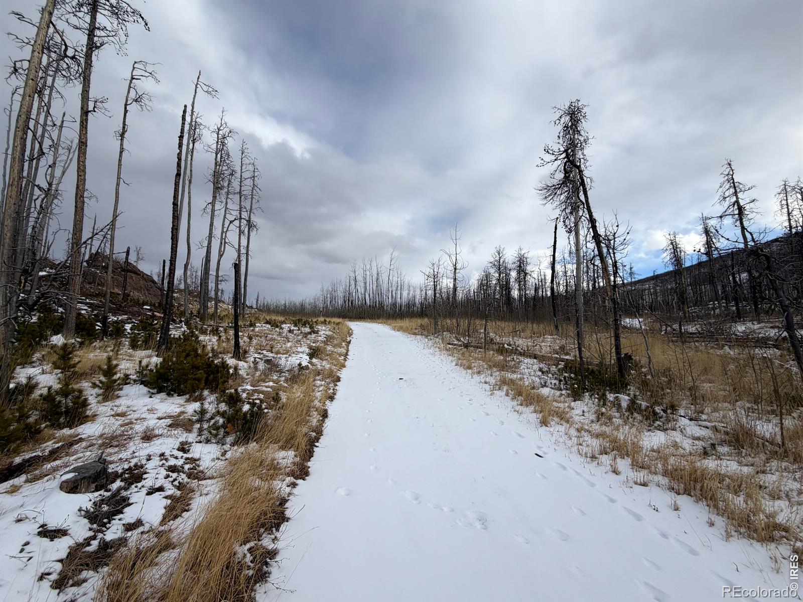 2025 Granite Road Bellvue CO 80512