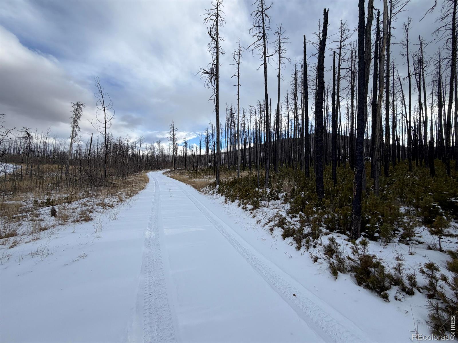 2025 Granite Road Bellvue CO 80512
