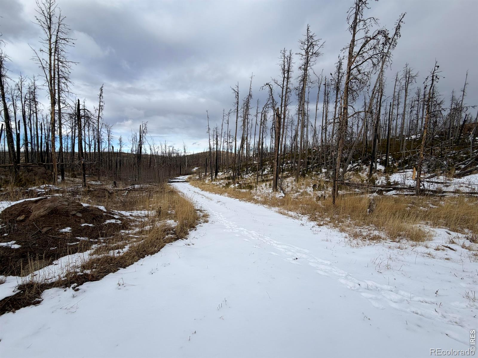 2025 Granite Road Bellvue CO 80512