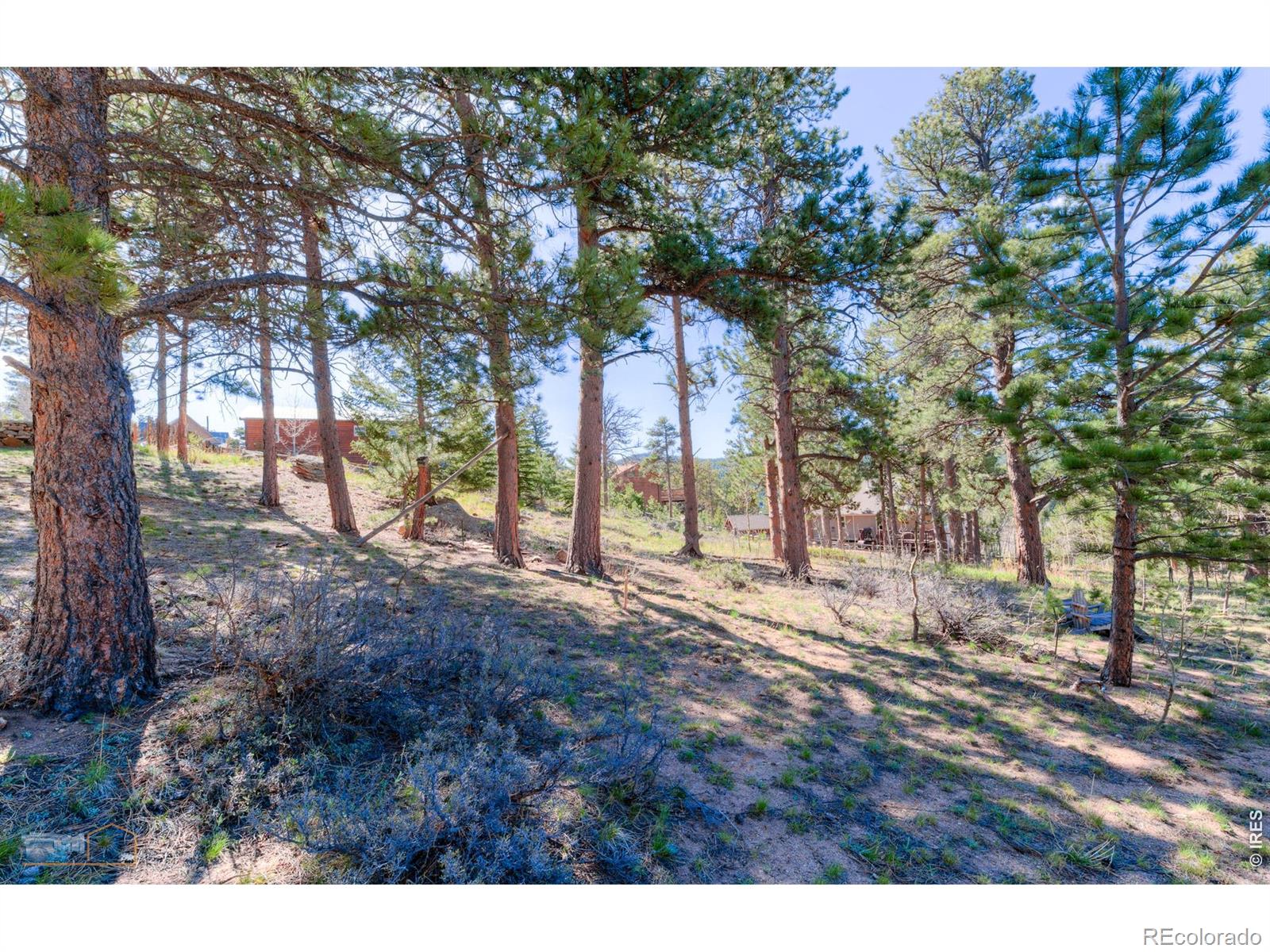 87 Sundance Circle Nederland CO 80466