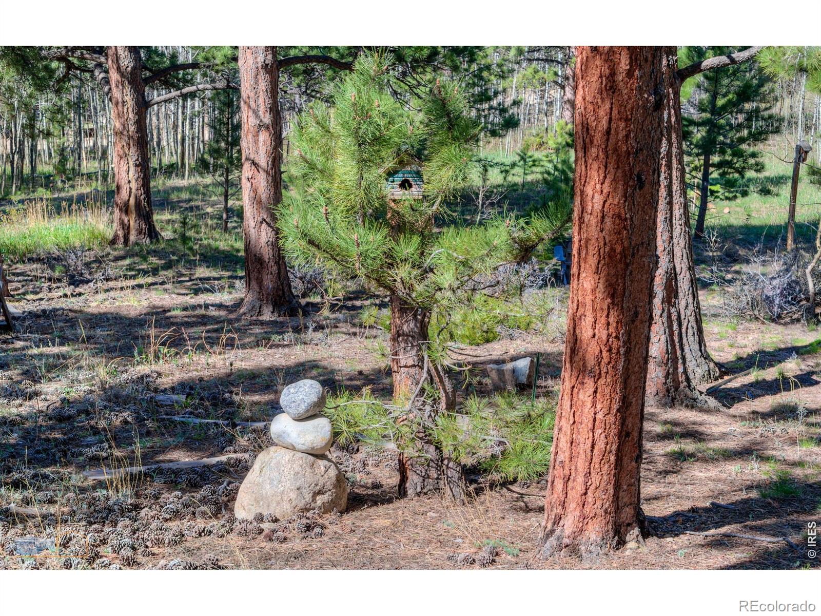 87 Sundance Circle Nederland CO 80466