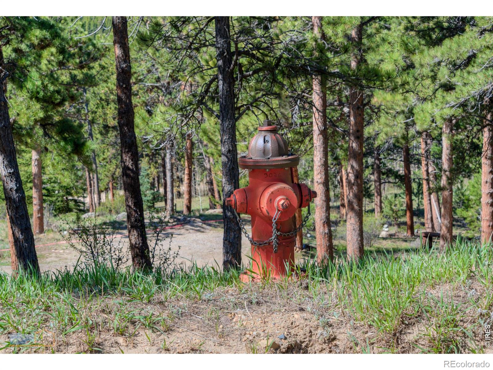 87 Sundance Circle Nederland CO 80466