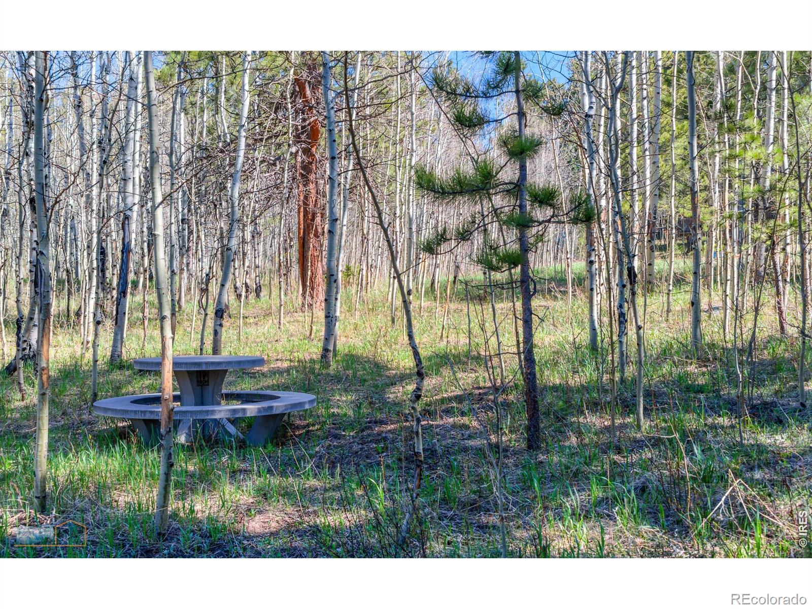 87 Sundance Circle Nederland CO 80466