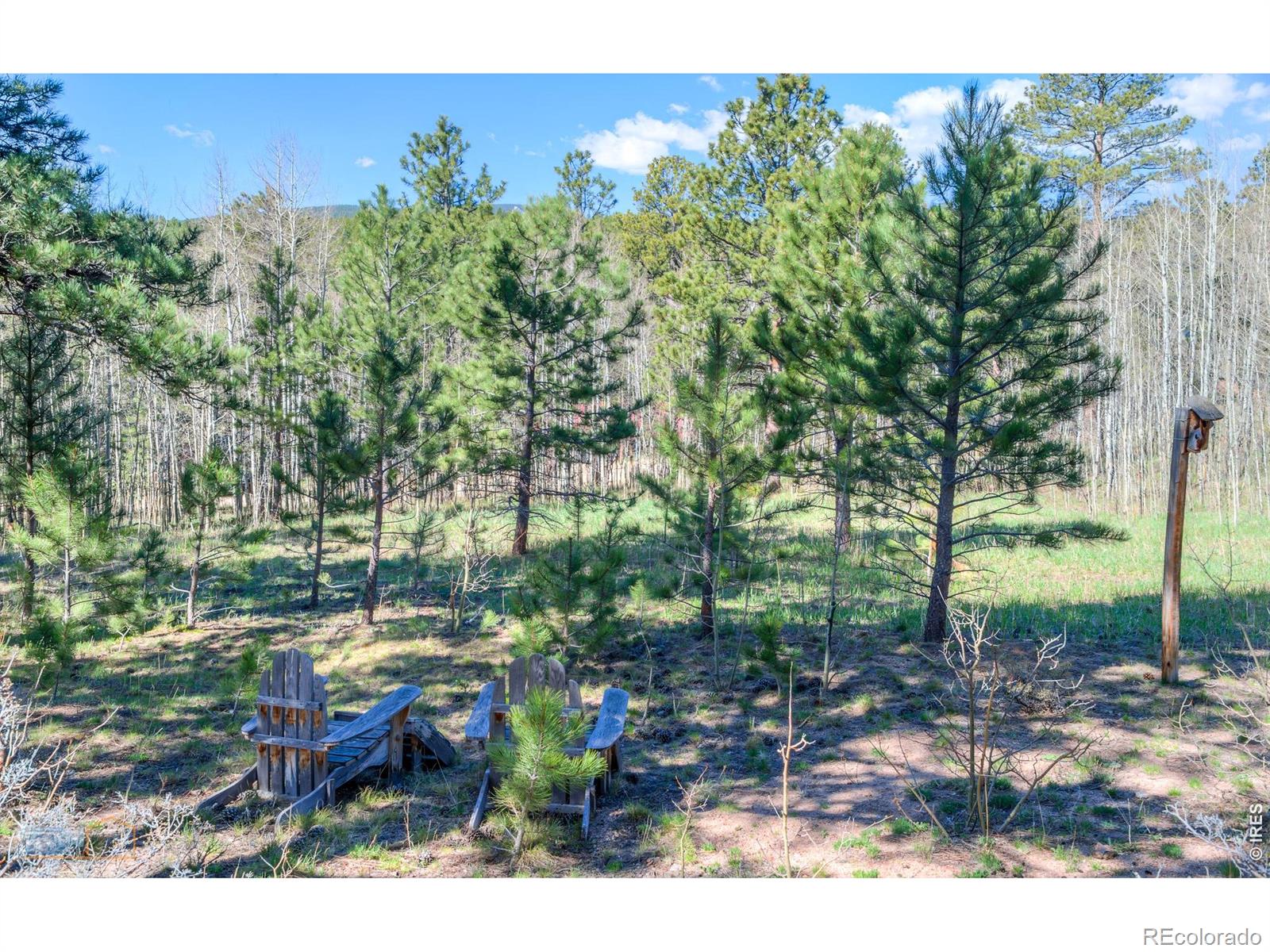 87 Sundance Circle Nederland CO 80466