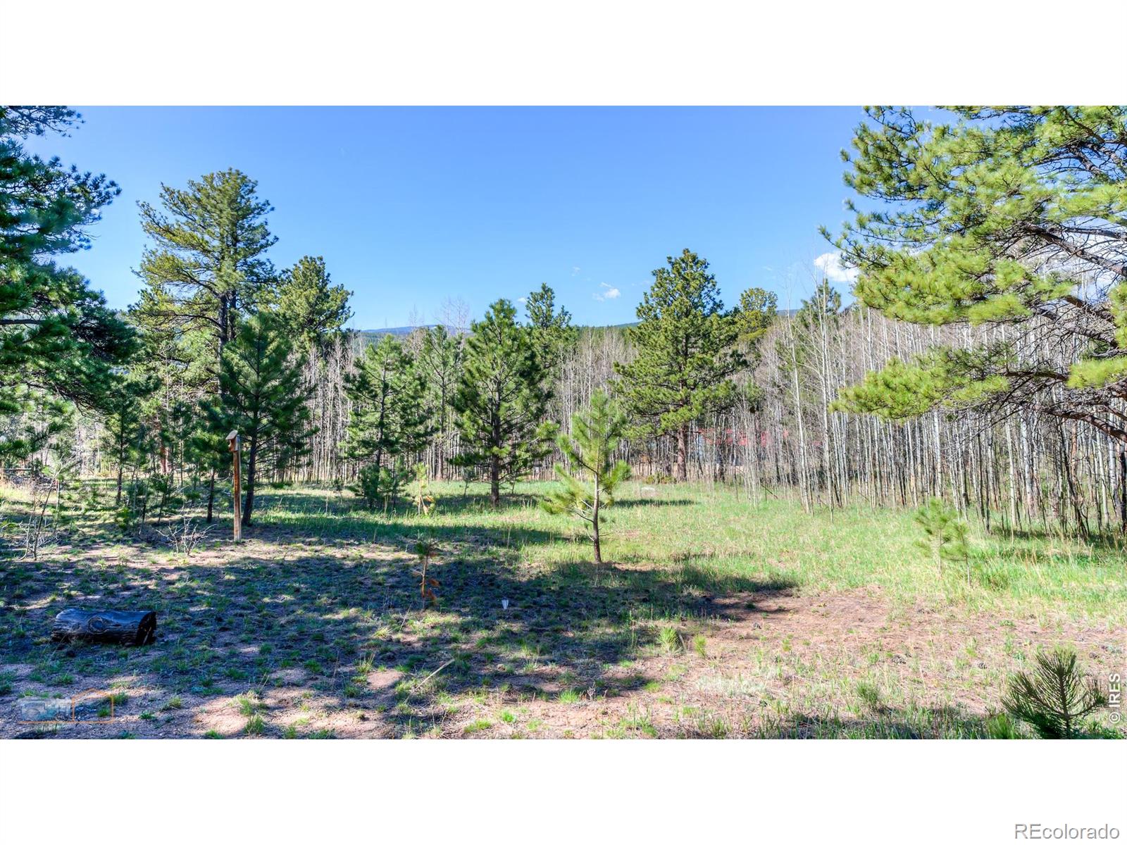 87 Sundance Circle Nederland CO 80466