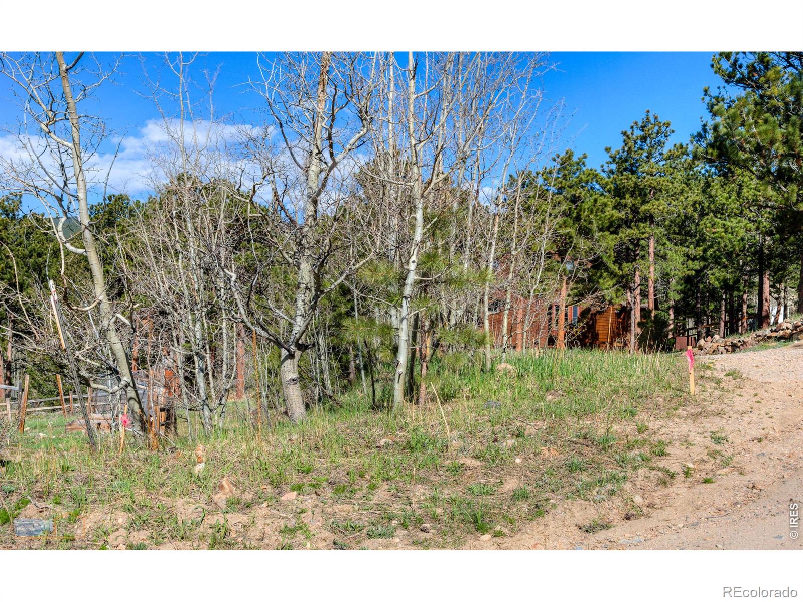 87 Sundance Circle Nederland CO 80466