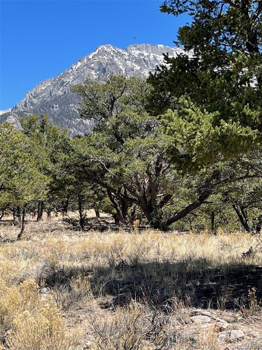 1153 Badger Road Crestone CO 81131