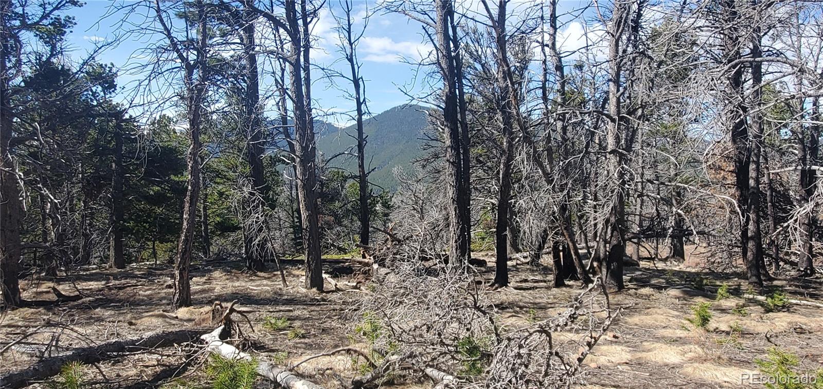 Lot 2739 Newman Place Fort Garland CO 81133
