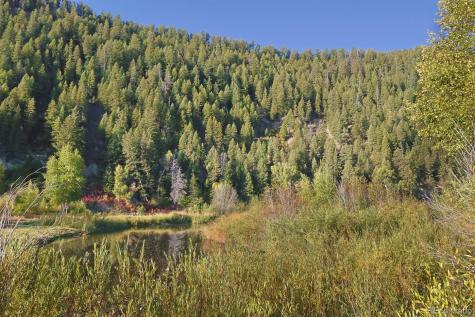 23385 Yampakita Lane Steamboat Springs CO 80487