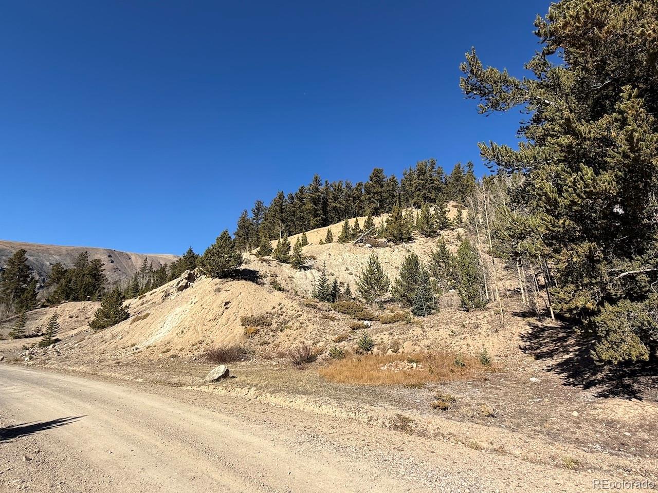0 County Road 787 Alma CO 80420