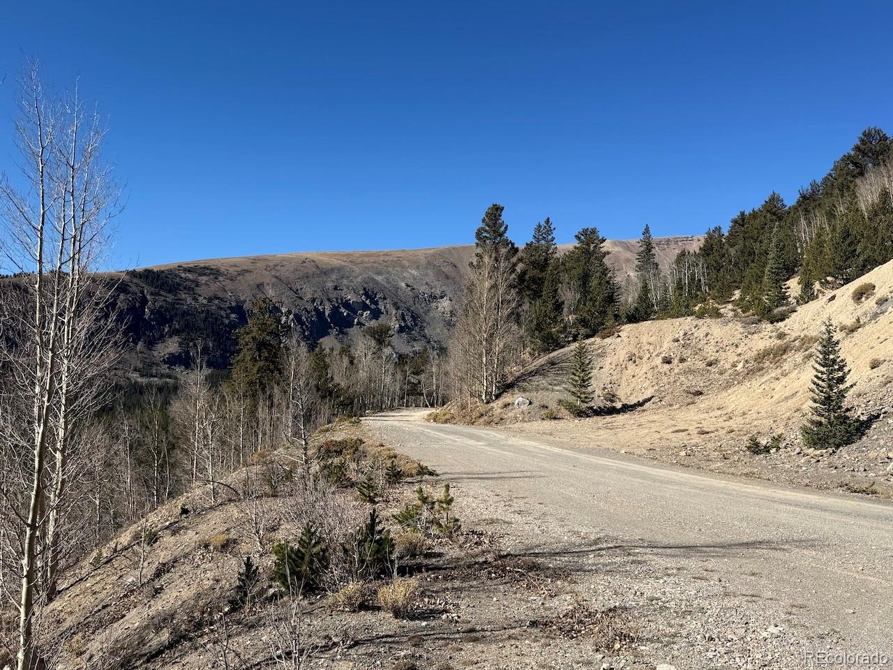 0 County Road 787 Alma CO 80420