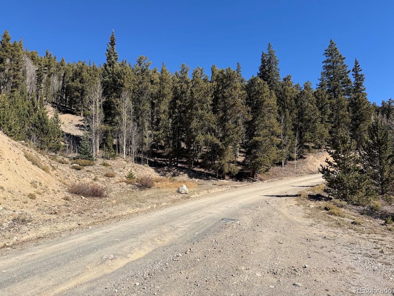 0 County Road 787 Alma CO 80420