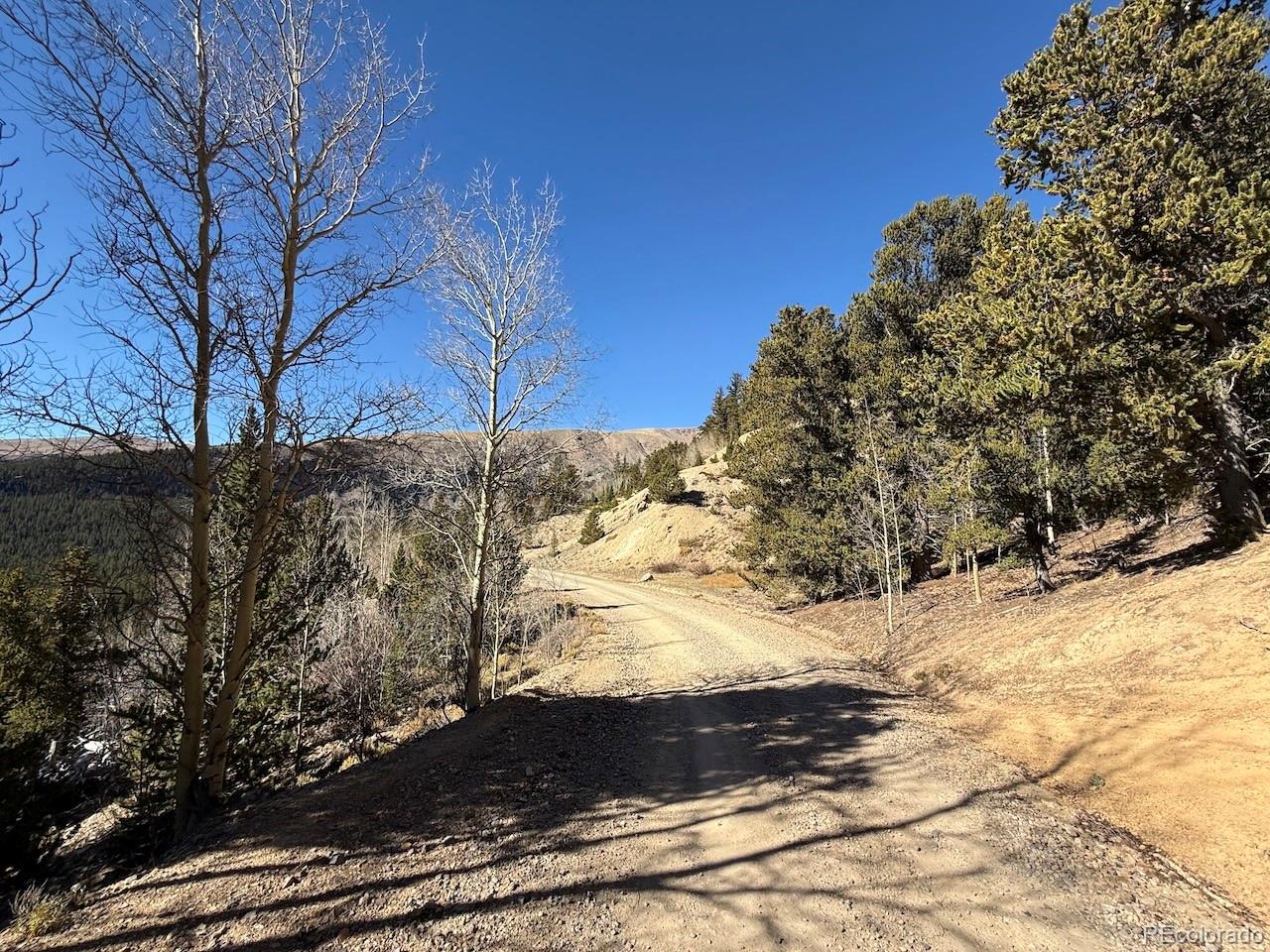 0 County Road 787 Alma CO 80420