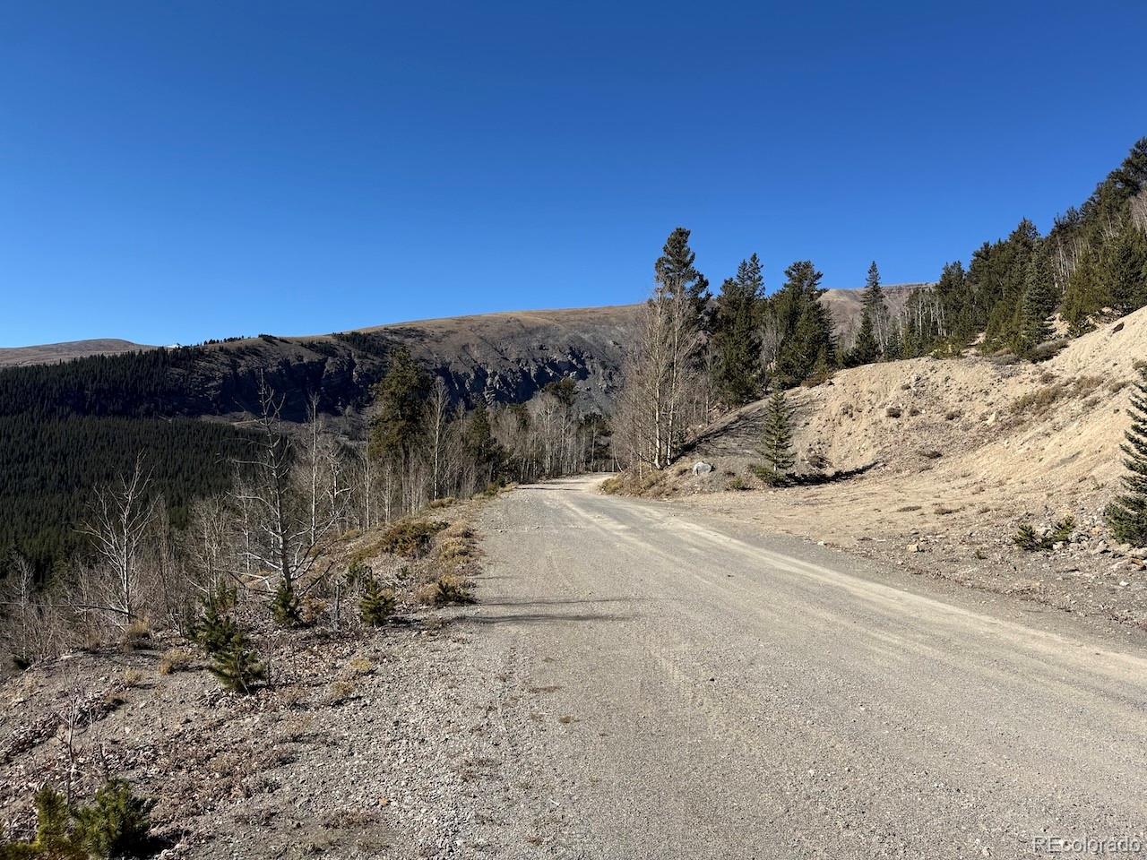 0 County Road 787 Alma CO 80420