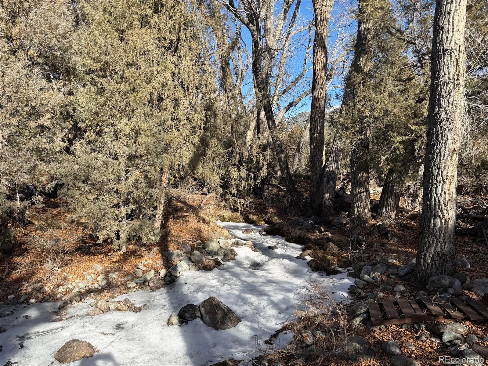 3899 Rarity Way Crestone CO 81131