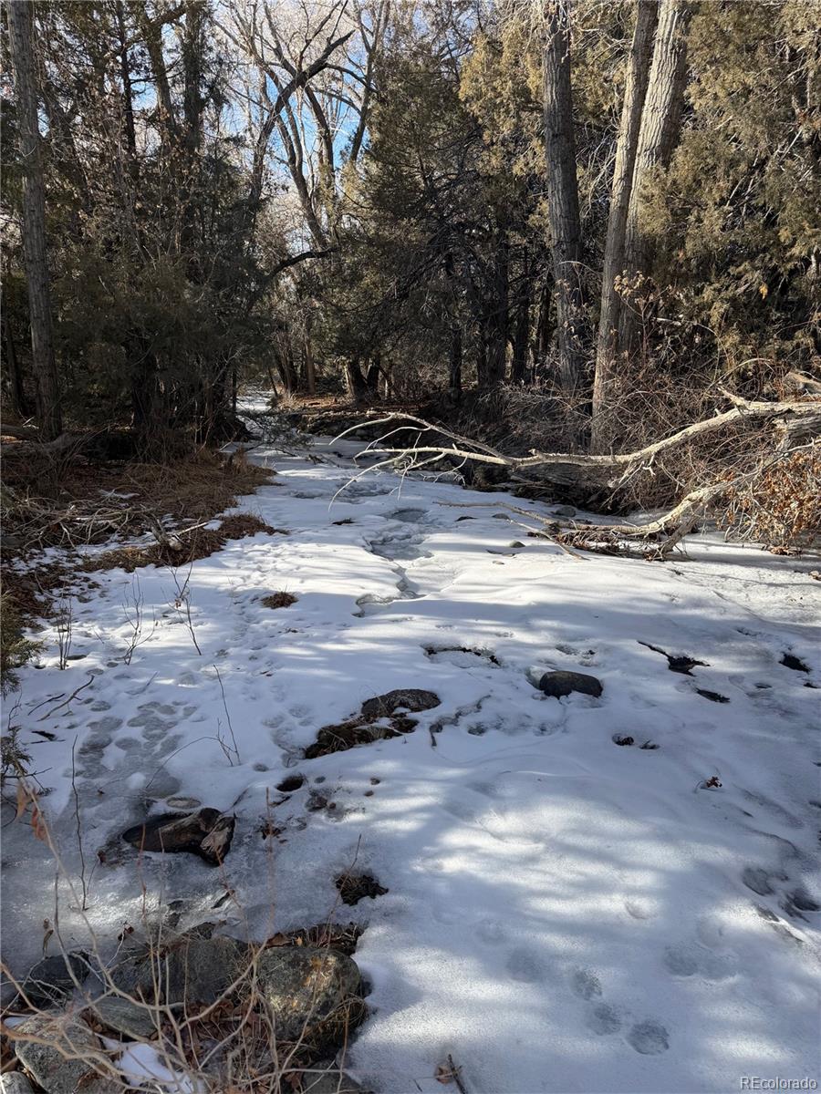 3899 Rarity Way Crestone CO 81131