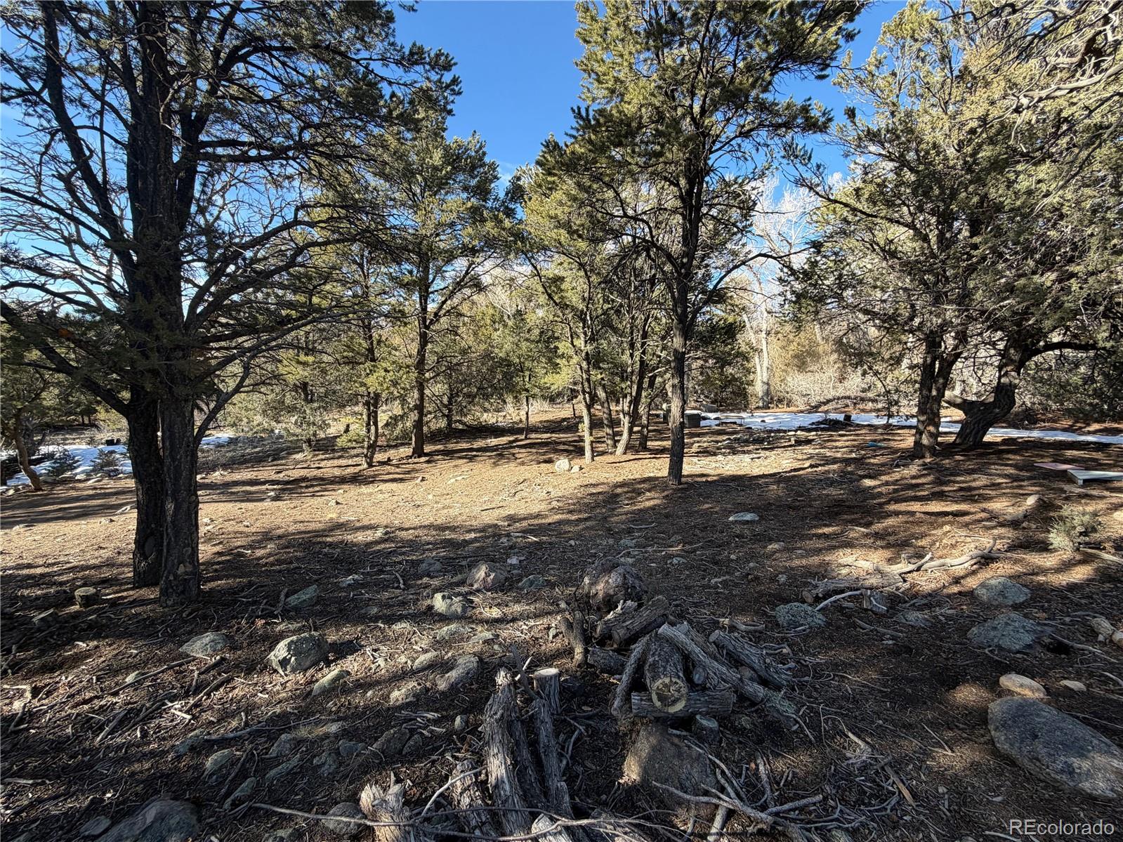 3899 Rarity Way Crestone CO 81131