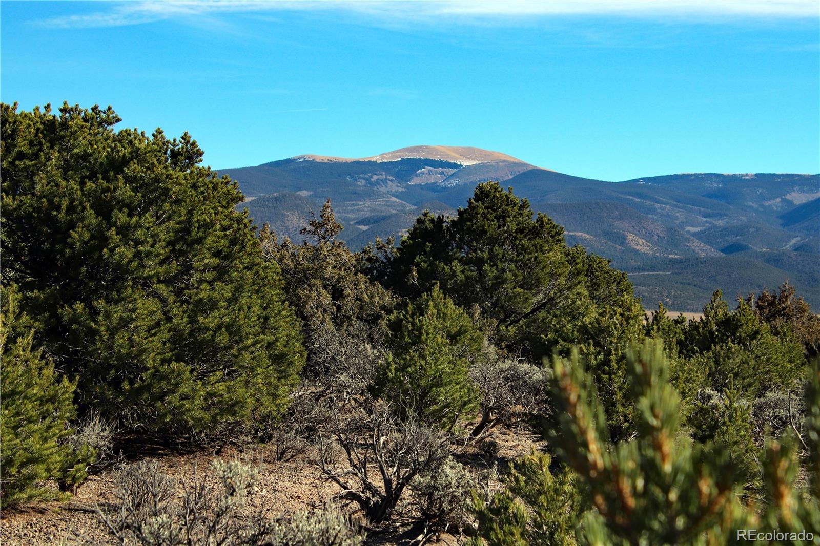 Lot 67 Alta Mesa Drive San Luis CO 81152