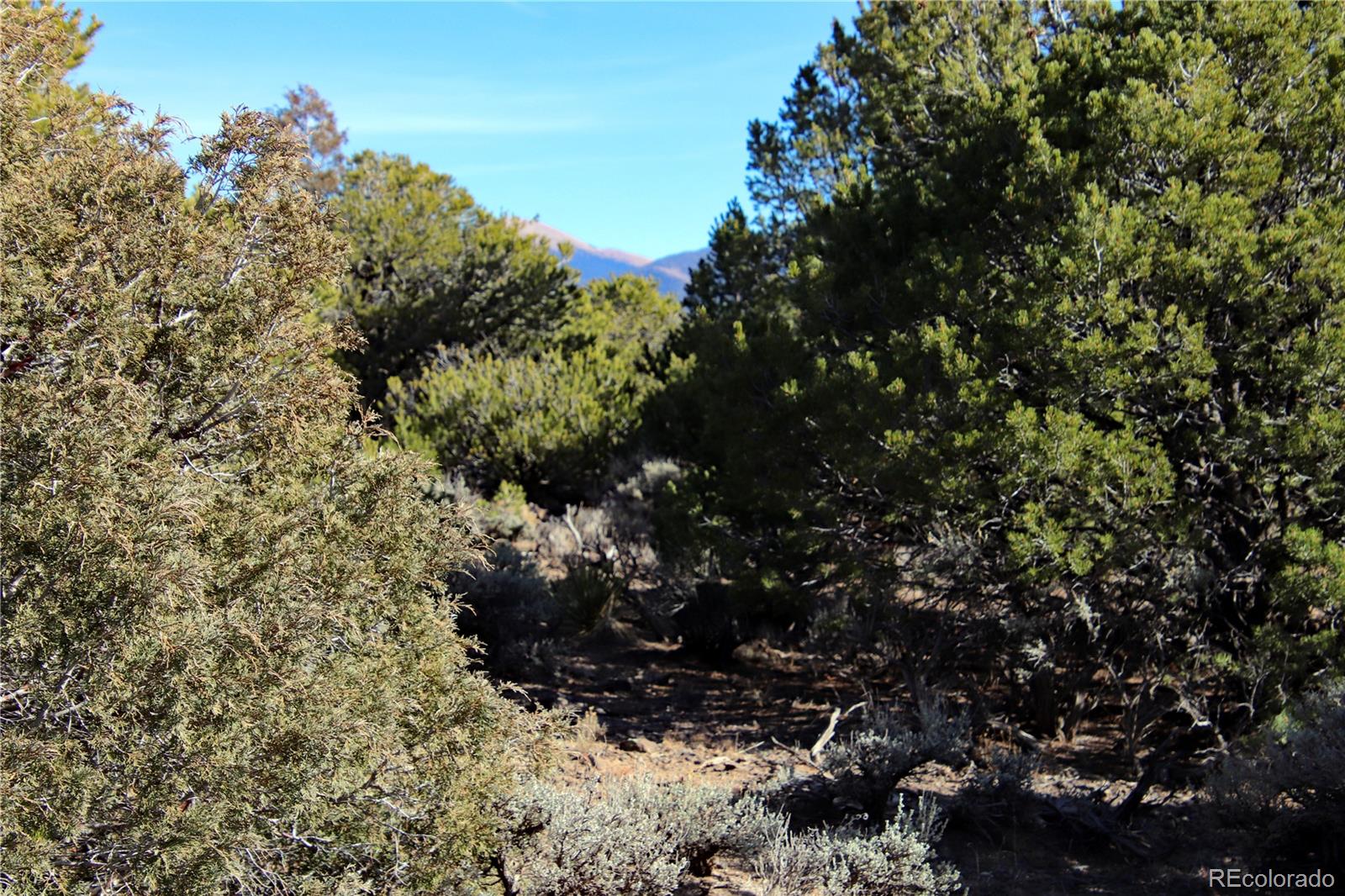 Lot 67 Alta Mesa Drive San Luis CO 81152