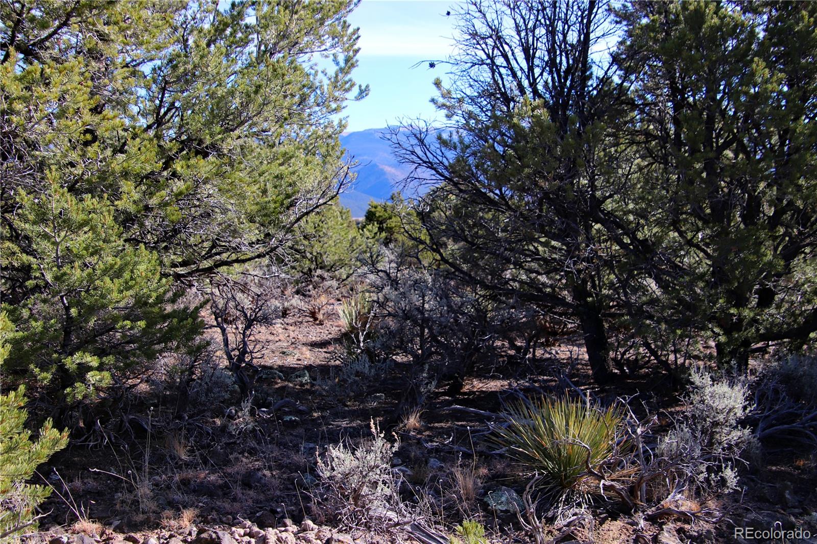 Lot 67 Alta Mesa Drive San Luis CO 81152
