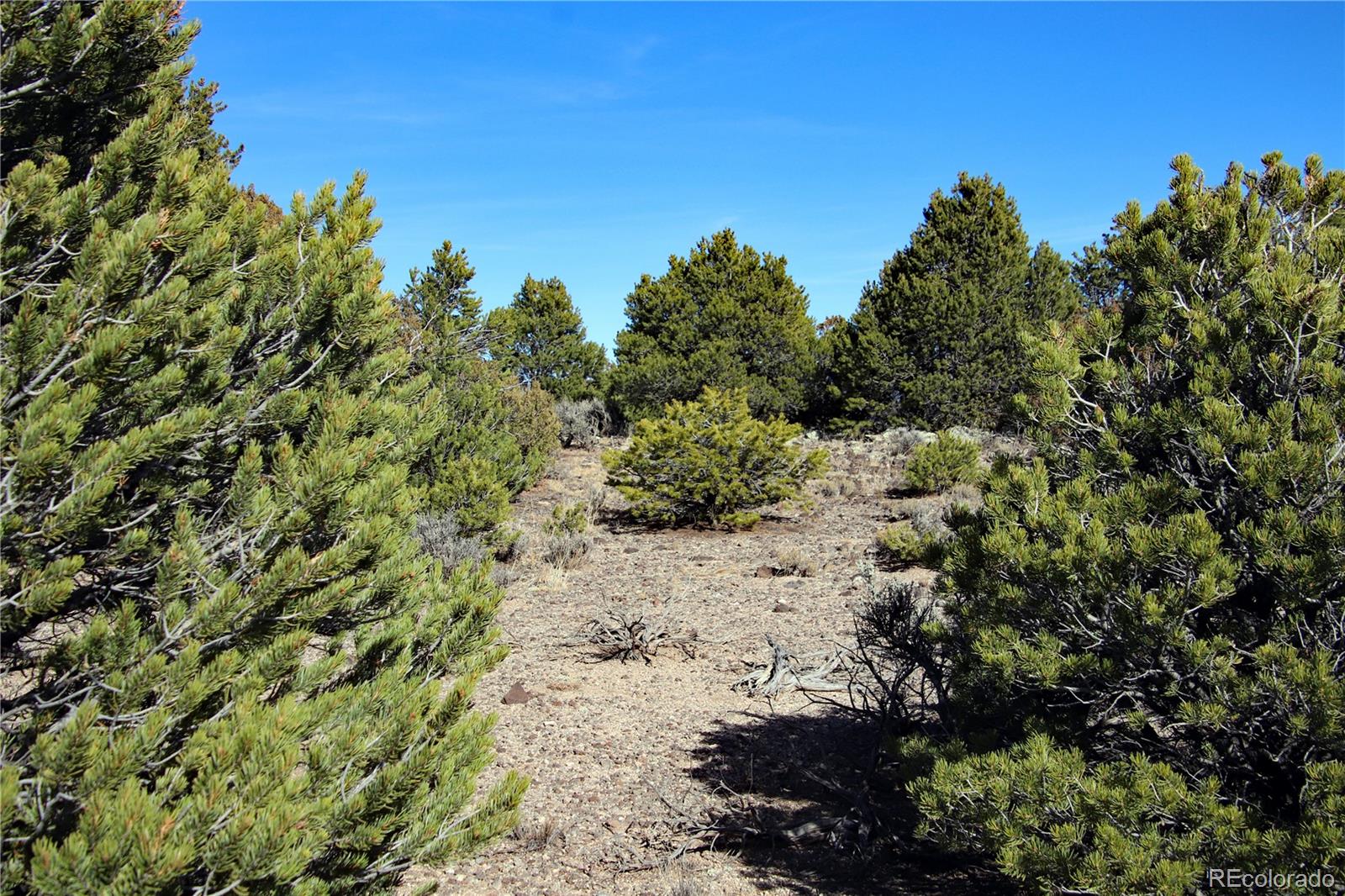 Lot 67 Alta Mesa Drive San Luis CO 81152