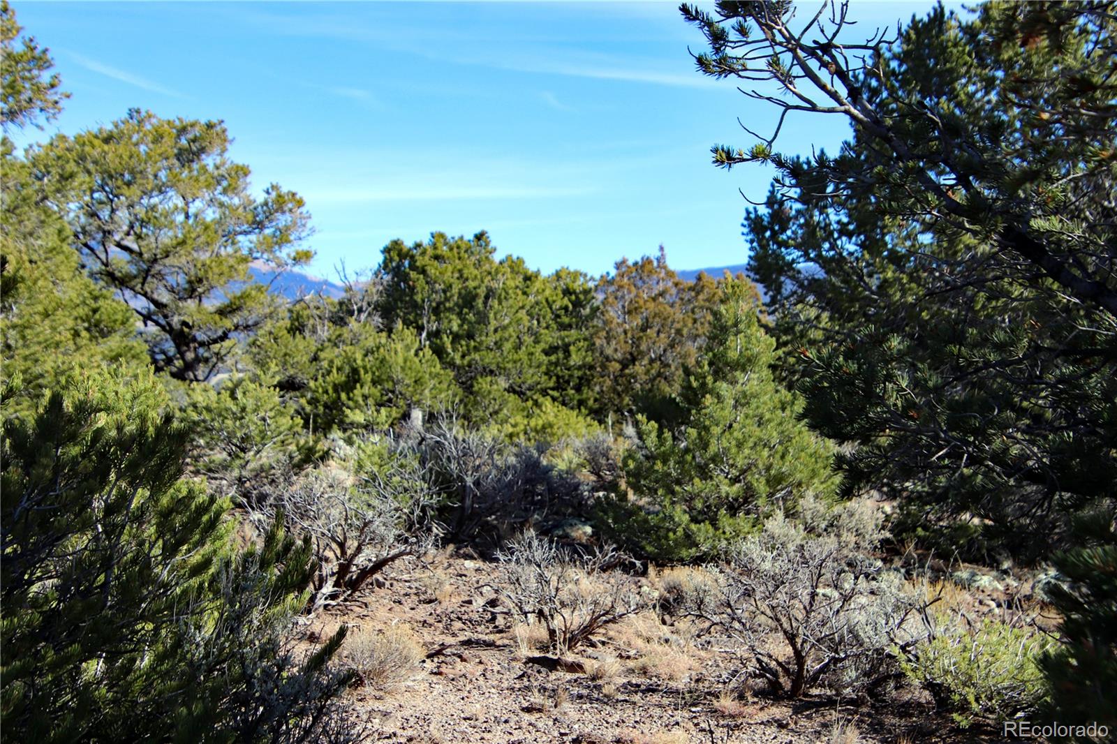 Lot 67 Alta Mesa Drive San Luis CO 81152