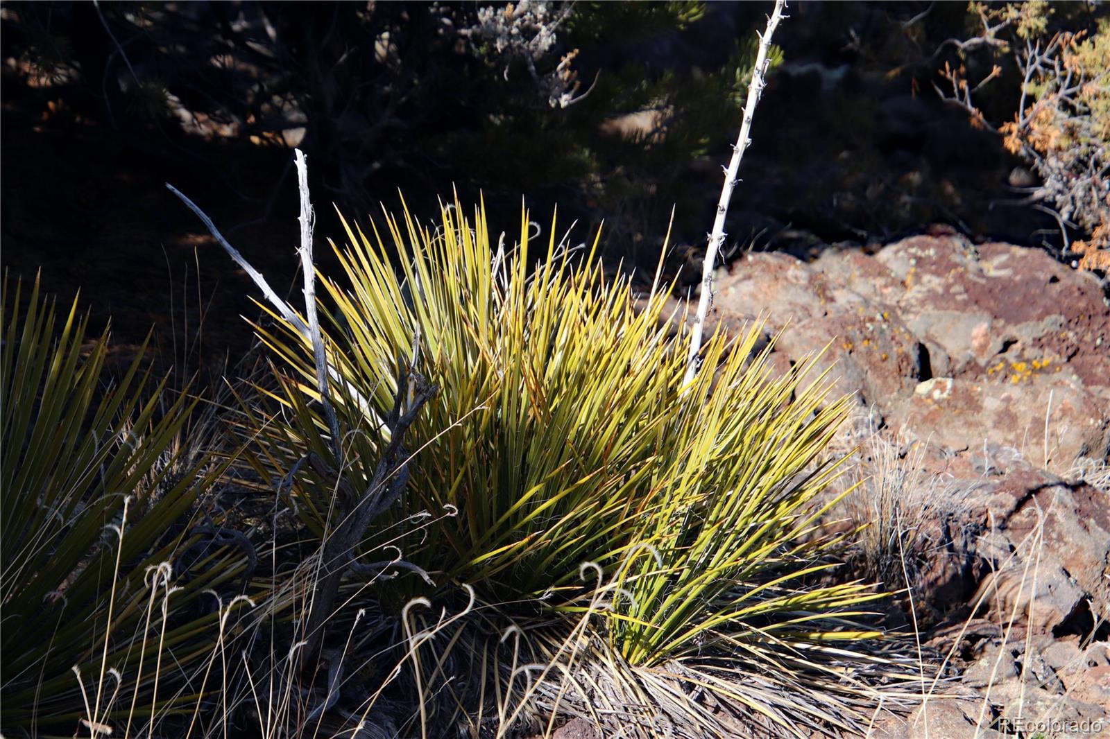 Lot 67 Alta Mesa Drive San Luis CO 81152