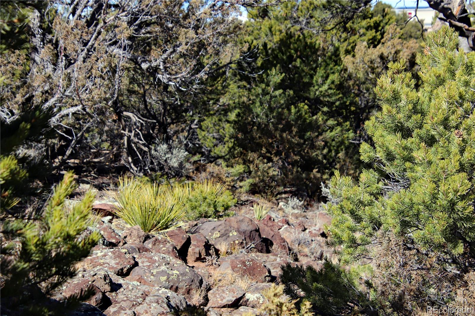 Lot 67 Alta Mesa Drive San Luis CO 81152