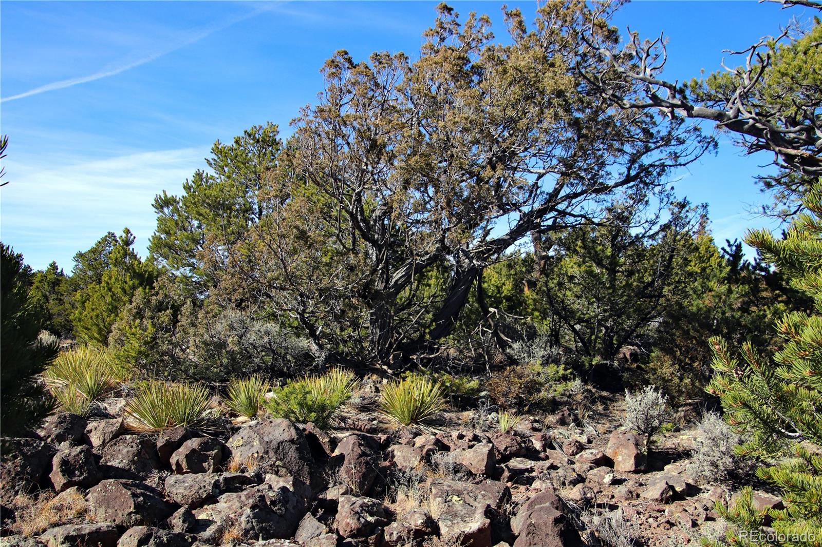 Lot 67 Alta Mesa Drive San Luis CO 81152