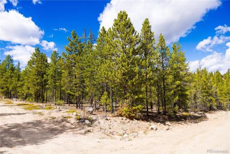 247 Juniper Drive Twin Lakes CO 80461
