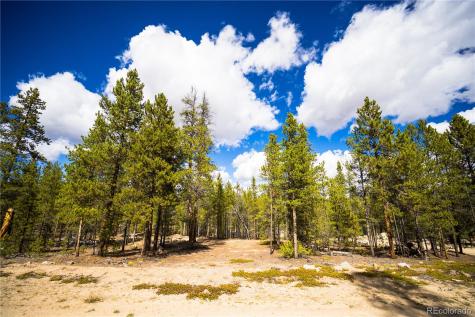 247 Juniper Drive Twin Lakes CO 80461