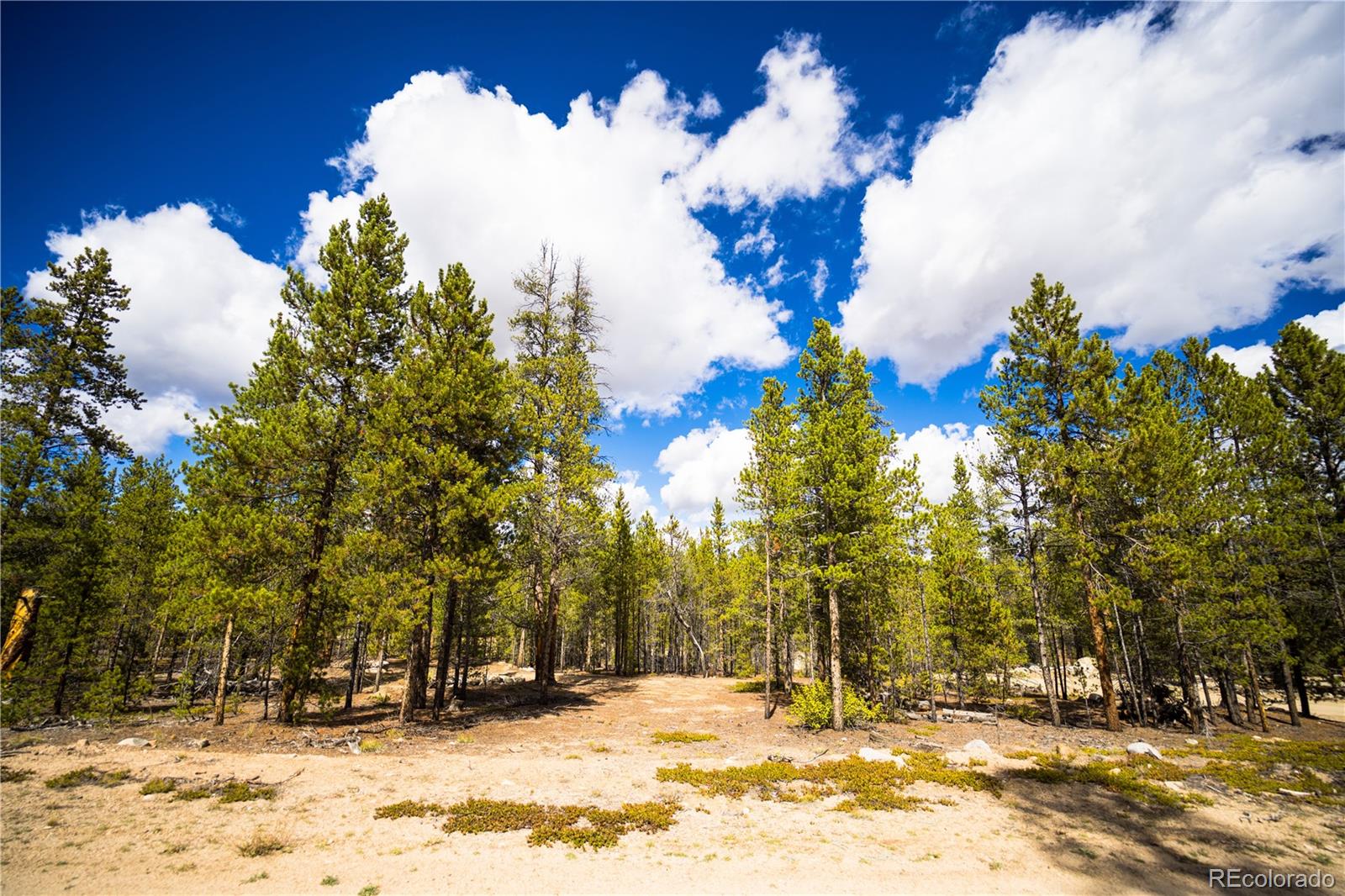247 Juniper Drive Twin Lakes CO 80461