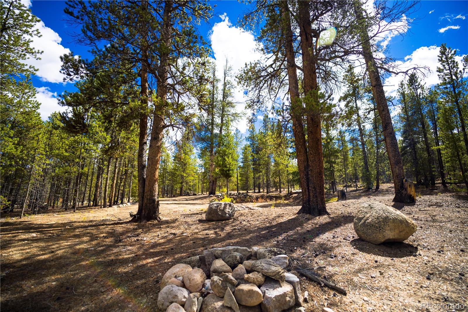 247 Juniper Drive Twin Lakes CO 80461