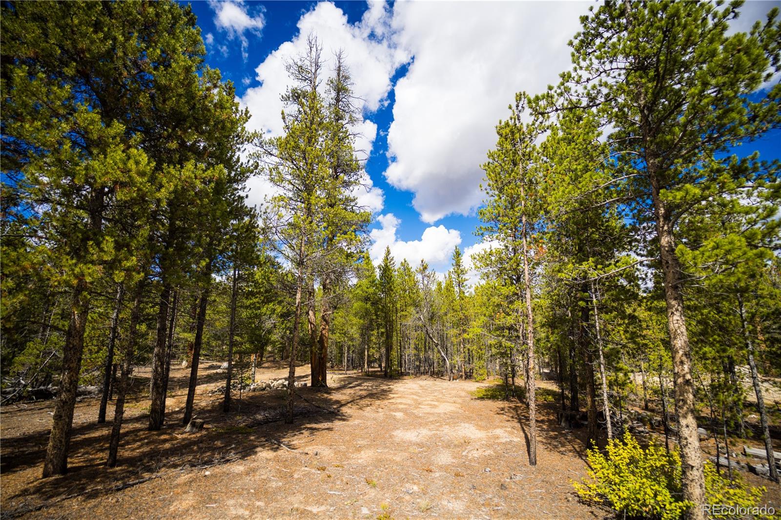 247 Juniper Drive Twin Lakes CO 80461