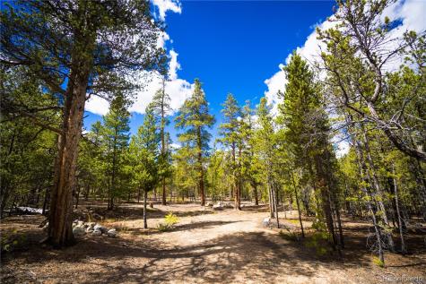 247 Juniper Drive Twin Lakes CO 80461