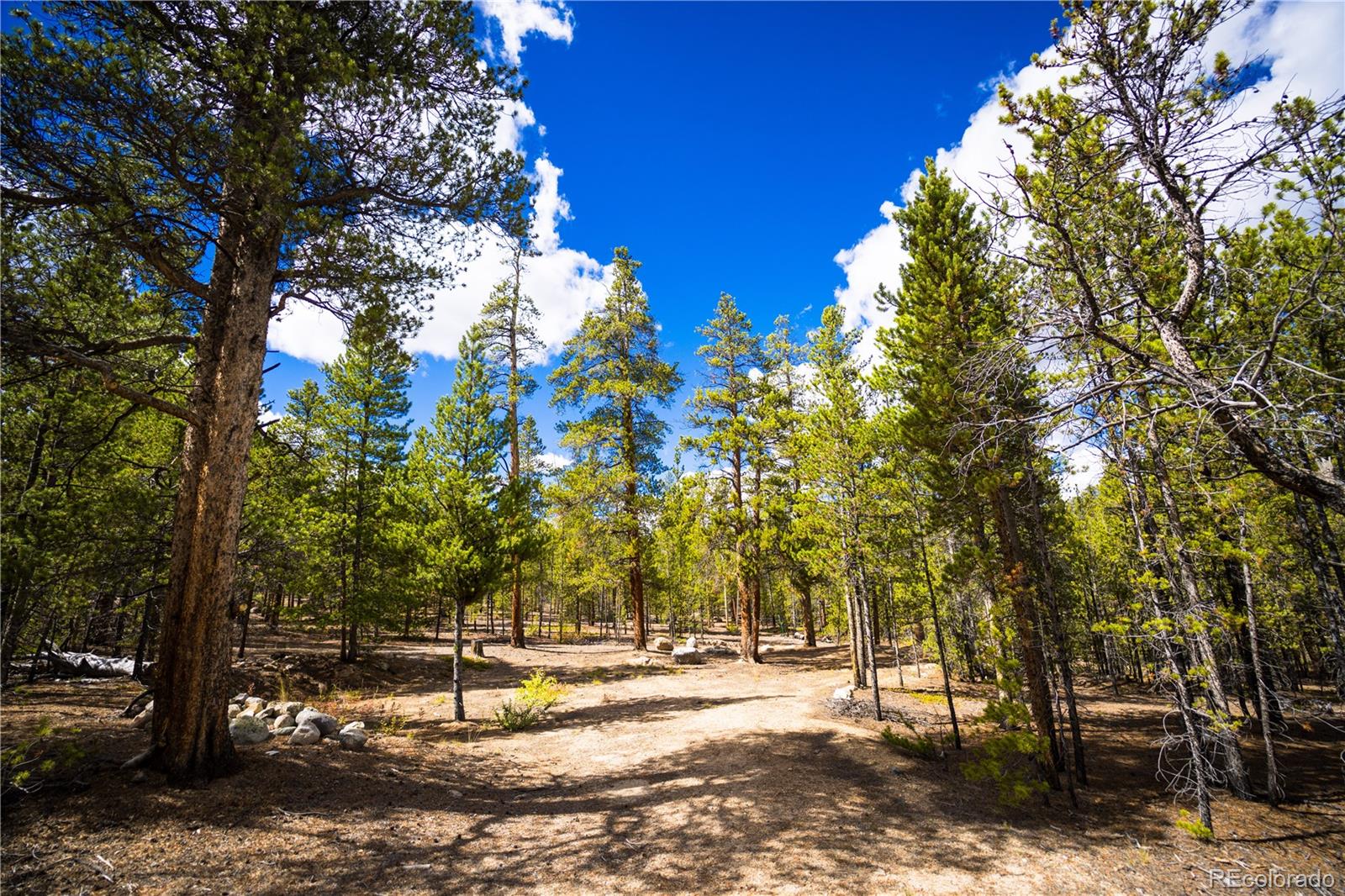 247 Juniper Drive Twin Lakes CO 80461