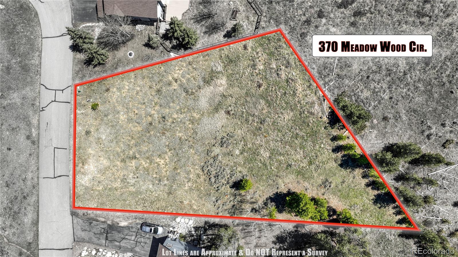 370 Meadow Wood Circle Dillon CO 80435