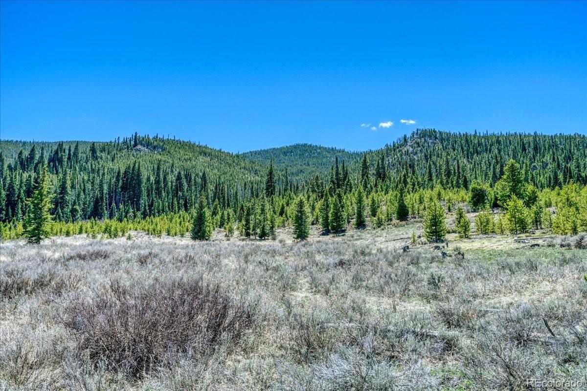 370 Meadow Wood Circle Dillon CO 80435