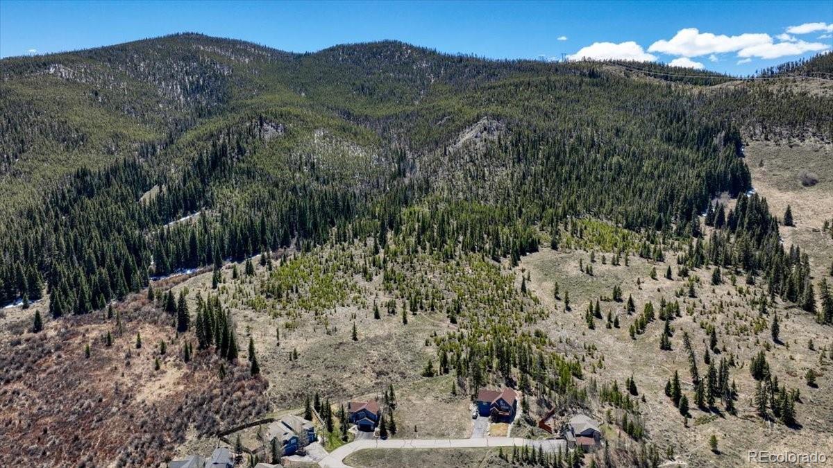 370 Meadow Wood Circle Dillon CO 80435