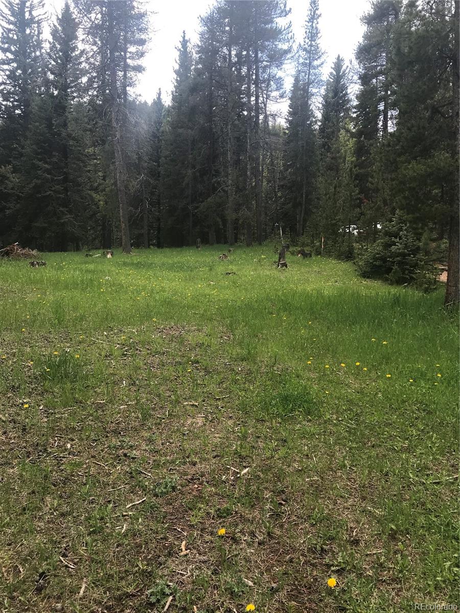 0 Shadow Mountain Drive Conifer CO 80433