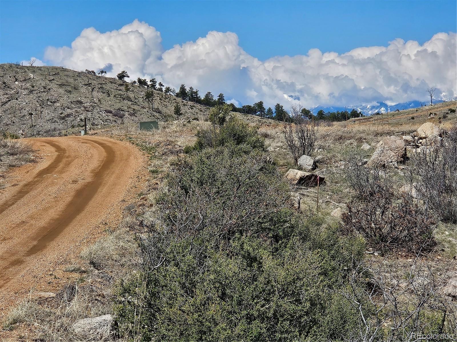 839 Shannon Trail E Cotopaxi CO 81223