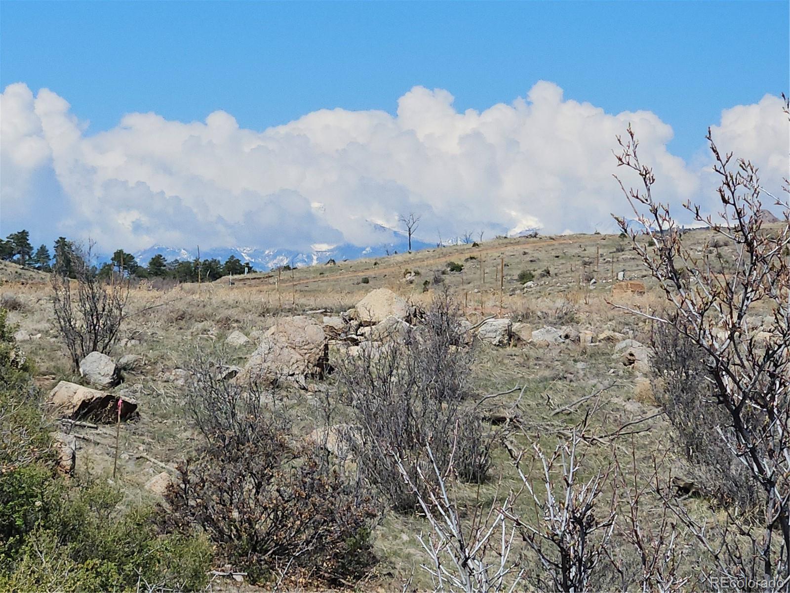 839 Shannon Trail E Cotopaxi CO 81223