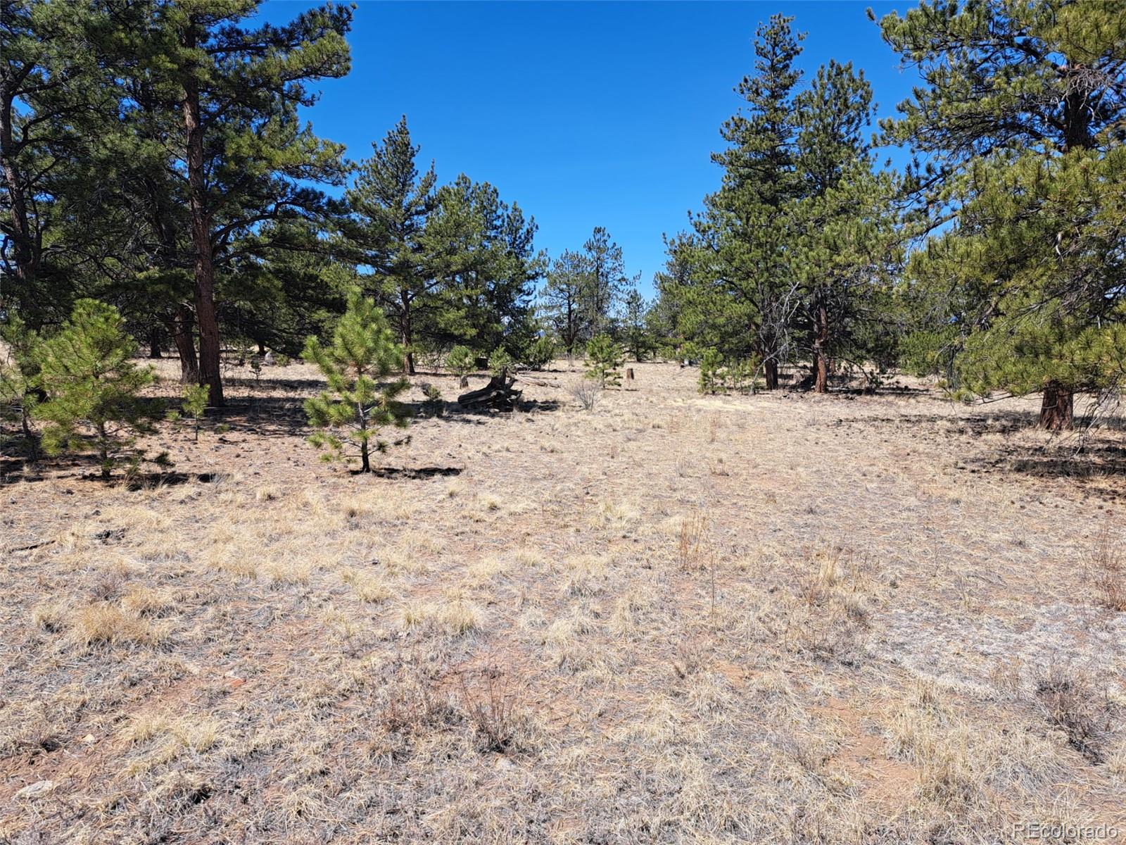 235 Maricopa Trail Hartsel CO 80449