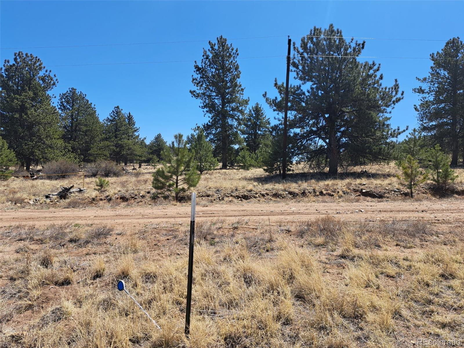 235 Maricopa Trail Hartsel CO 80449