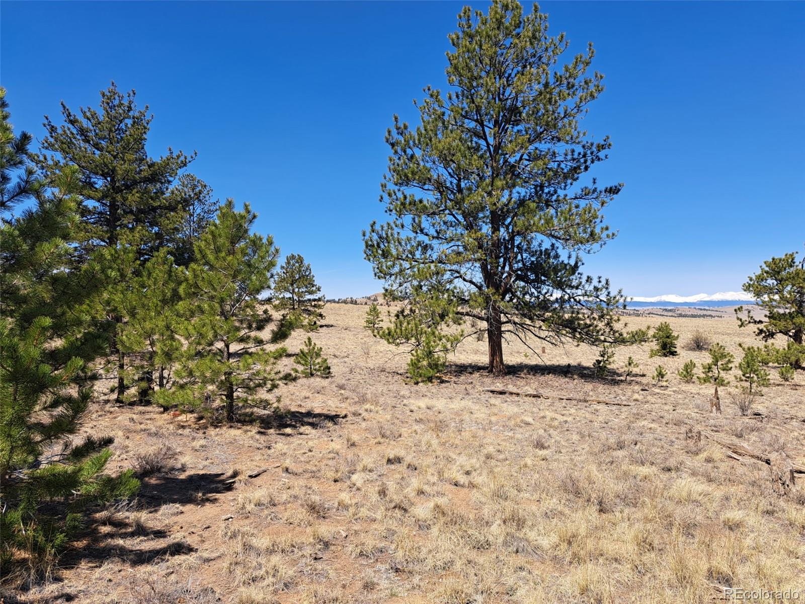 235 Maricopa Trail Hartsel CO 80449