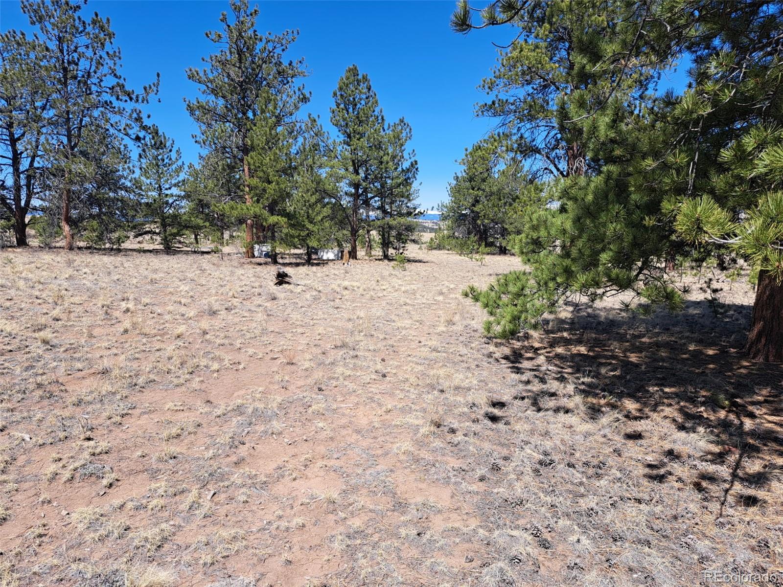 235 Maricopa Trail Hartsel CO 80449