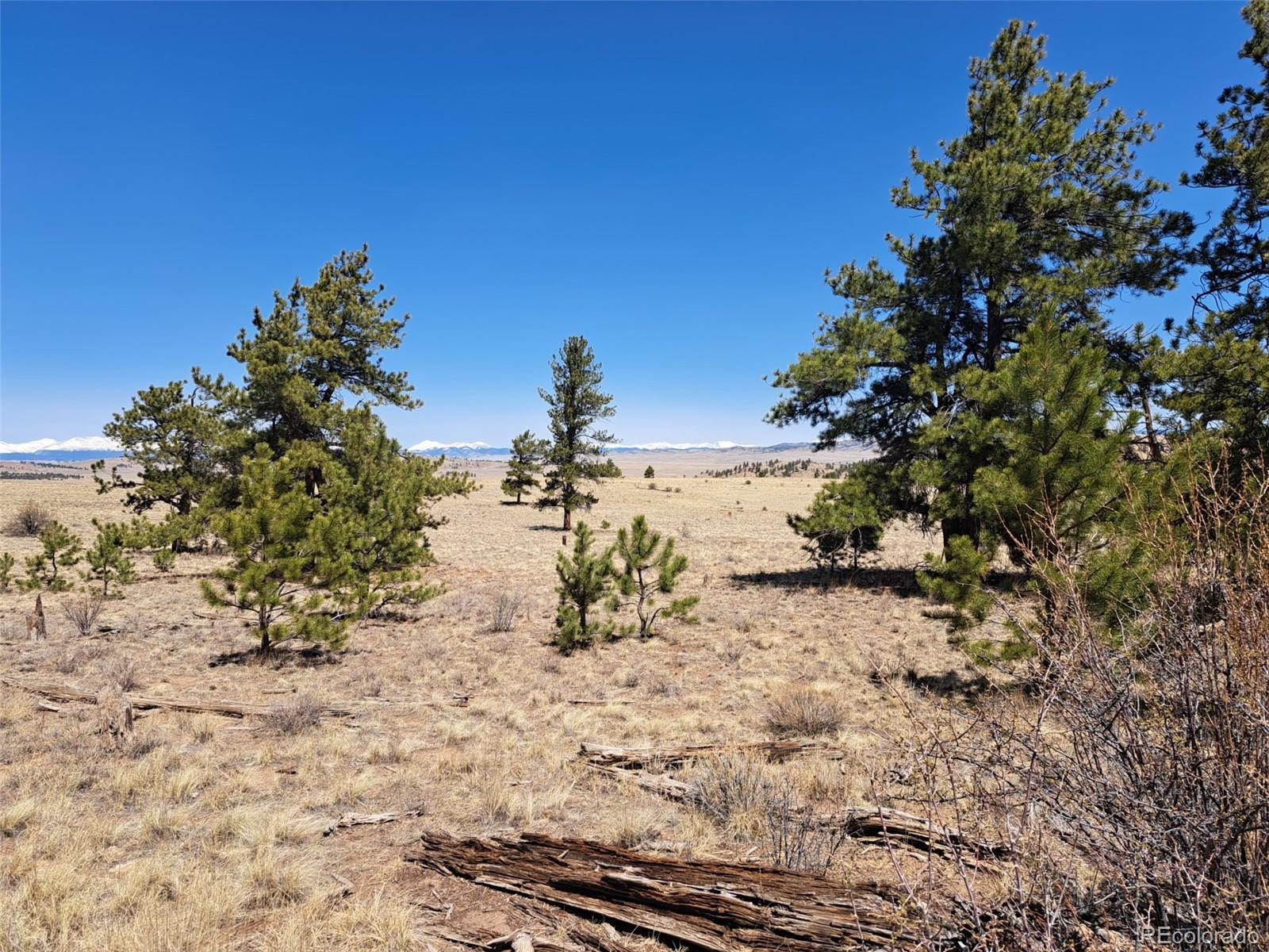 235 Maricopa Trail Hartsel CO 80449