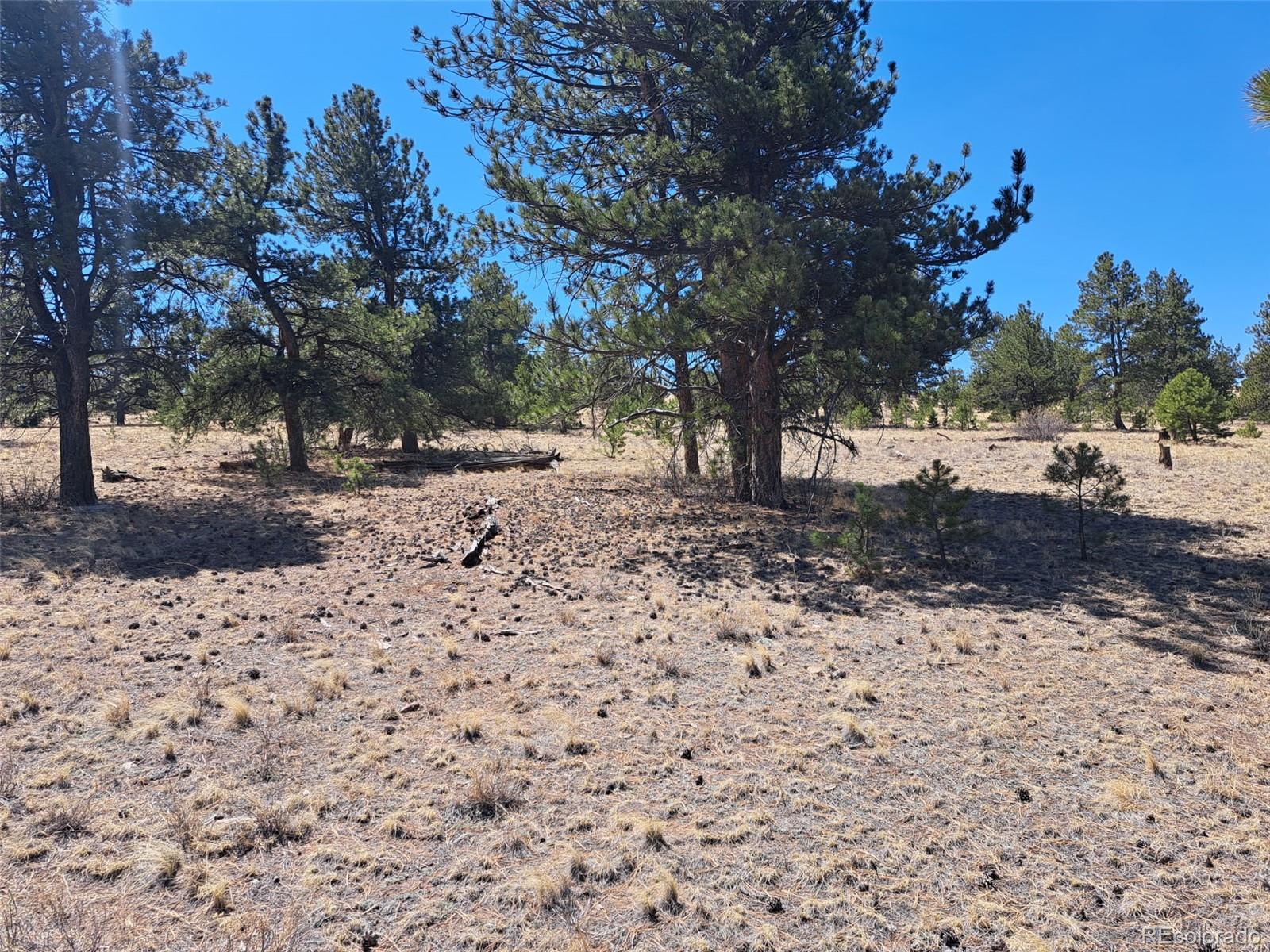 235 Maricopa Trail Hartsel CO 80449