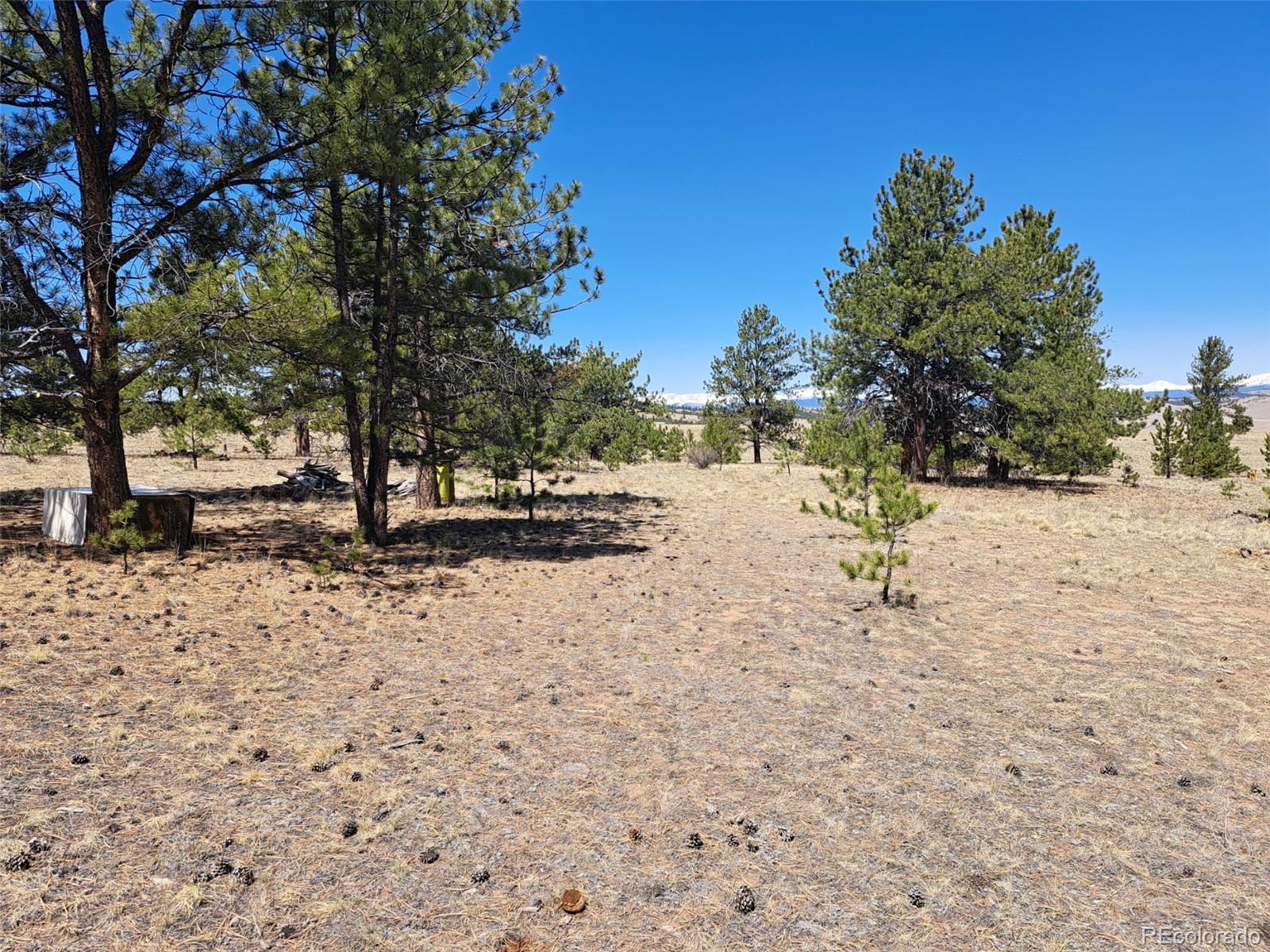 235 Maricopa Trail Hartsel CO 80449